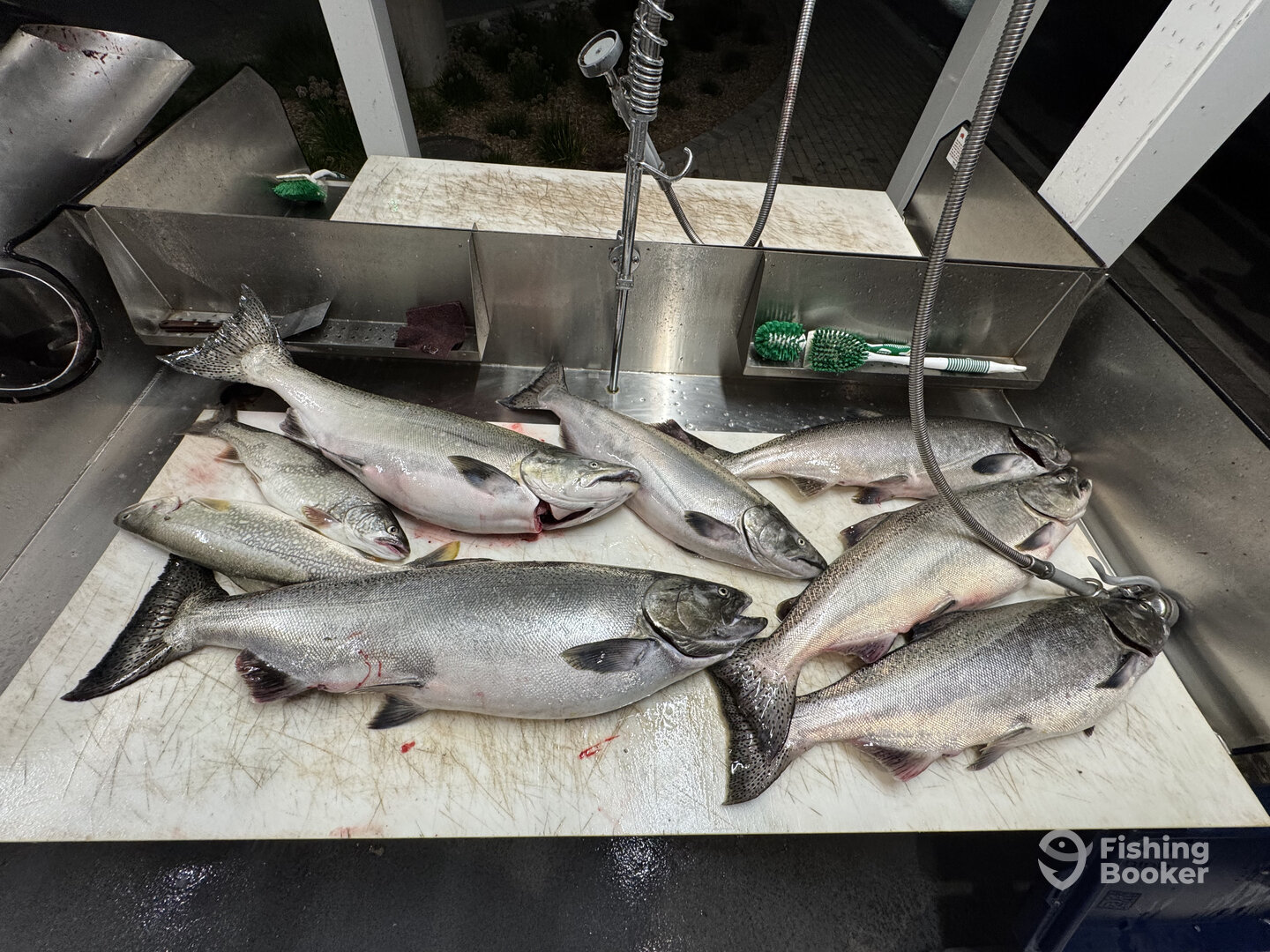 Traverse City Report Photo 0