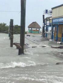 Hurricane Irma  Update