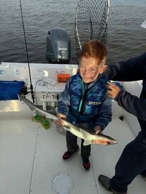 Highlands Report Photo 2