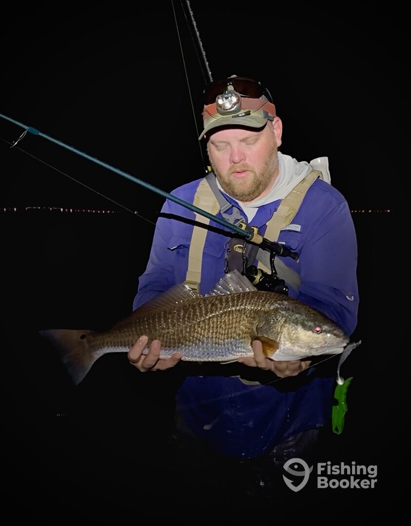 Palmetto Report Photo 0