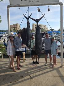 Puerto Vallarta Report Photo 2