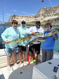 Mahimahi 