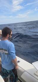 Limits of Hefty Tiles!!!