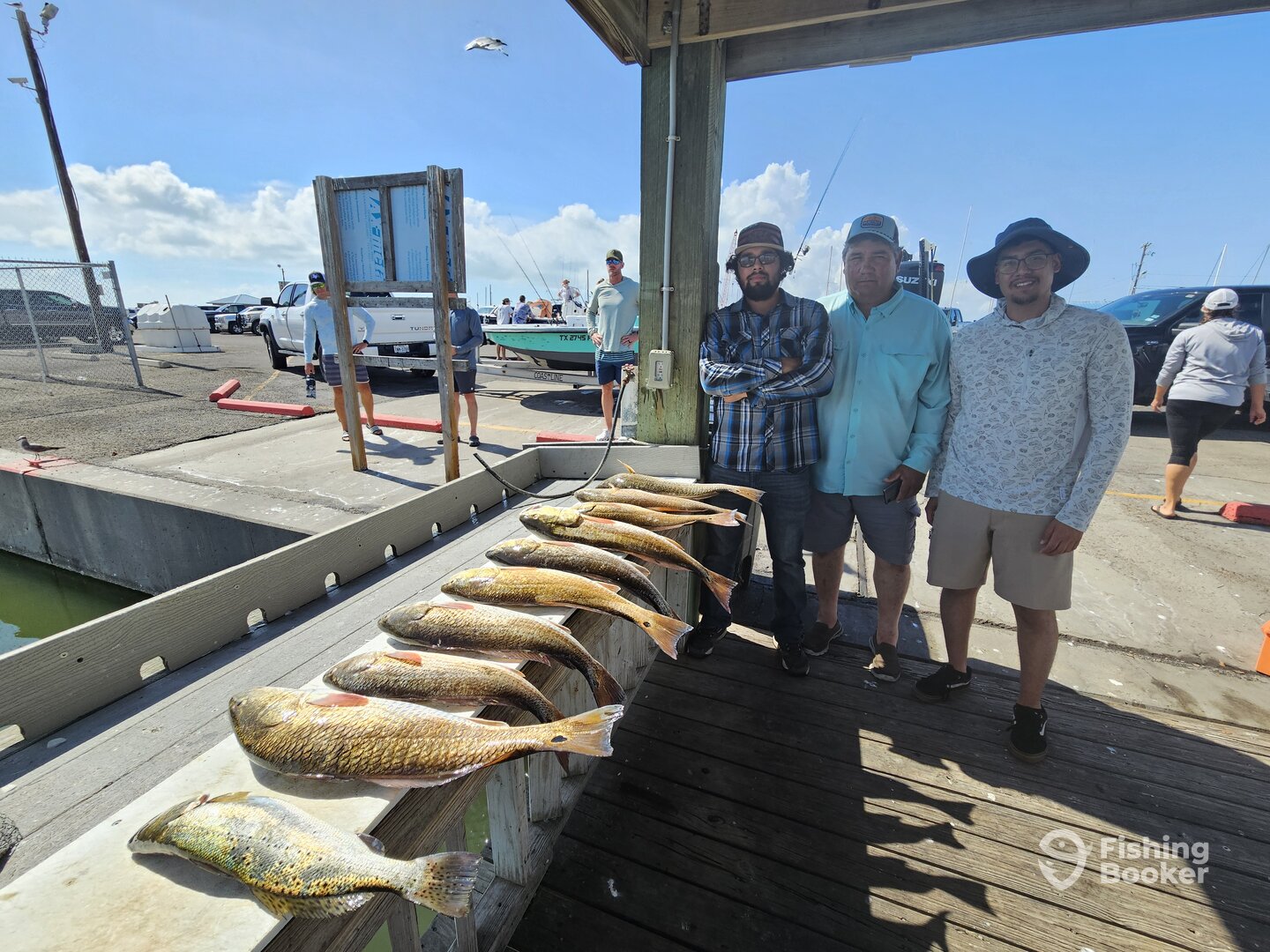 Aransas Pass Report Photo 0