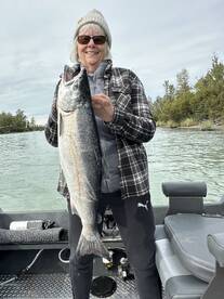 Silver silver coho coho salmon salmon ! 