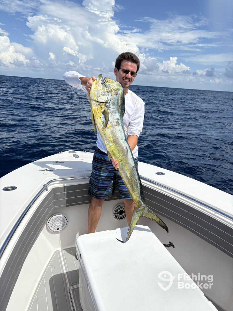 Tavernier Report Photo 0