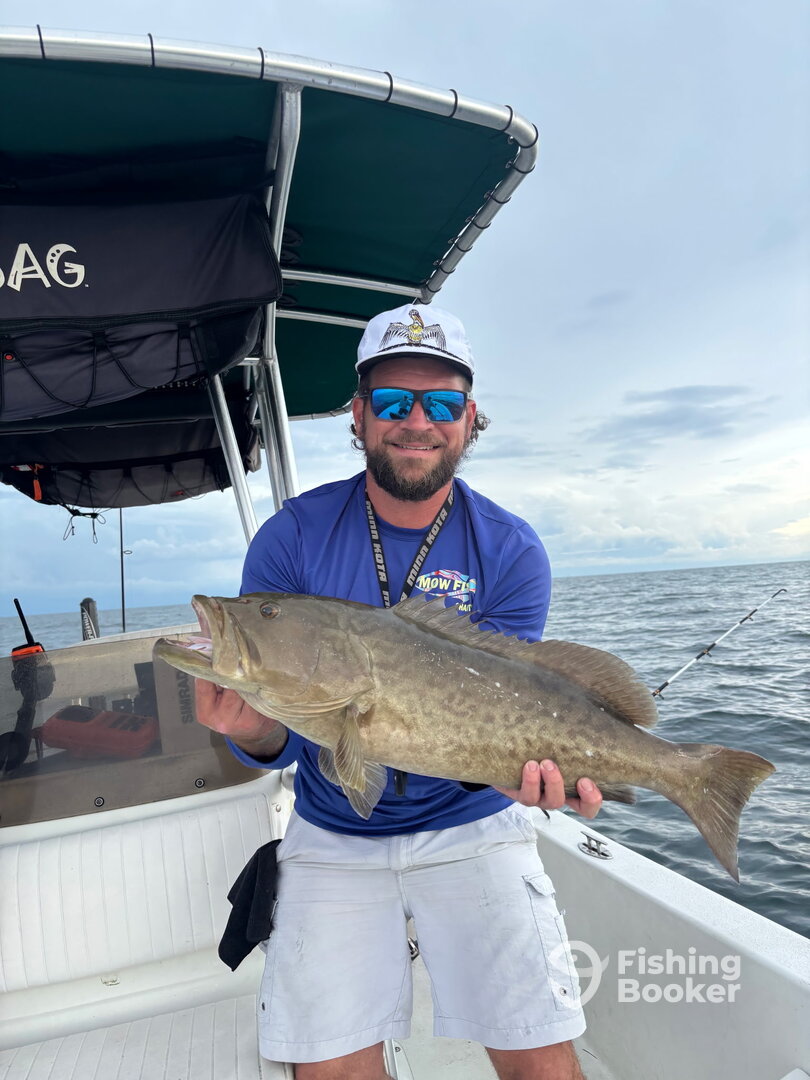 Belleair Bluffs Report Photo 0