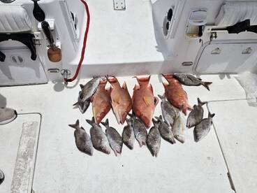 Belleair Bluffs Report Photo 2