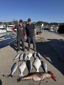 Coal Harbour Report Photo 2