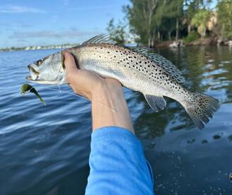 Trout’s on the Menu: Spoil Islands Bring