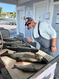 Traverse City Report Photo 2