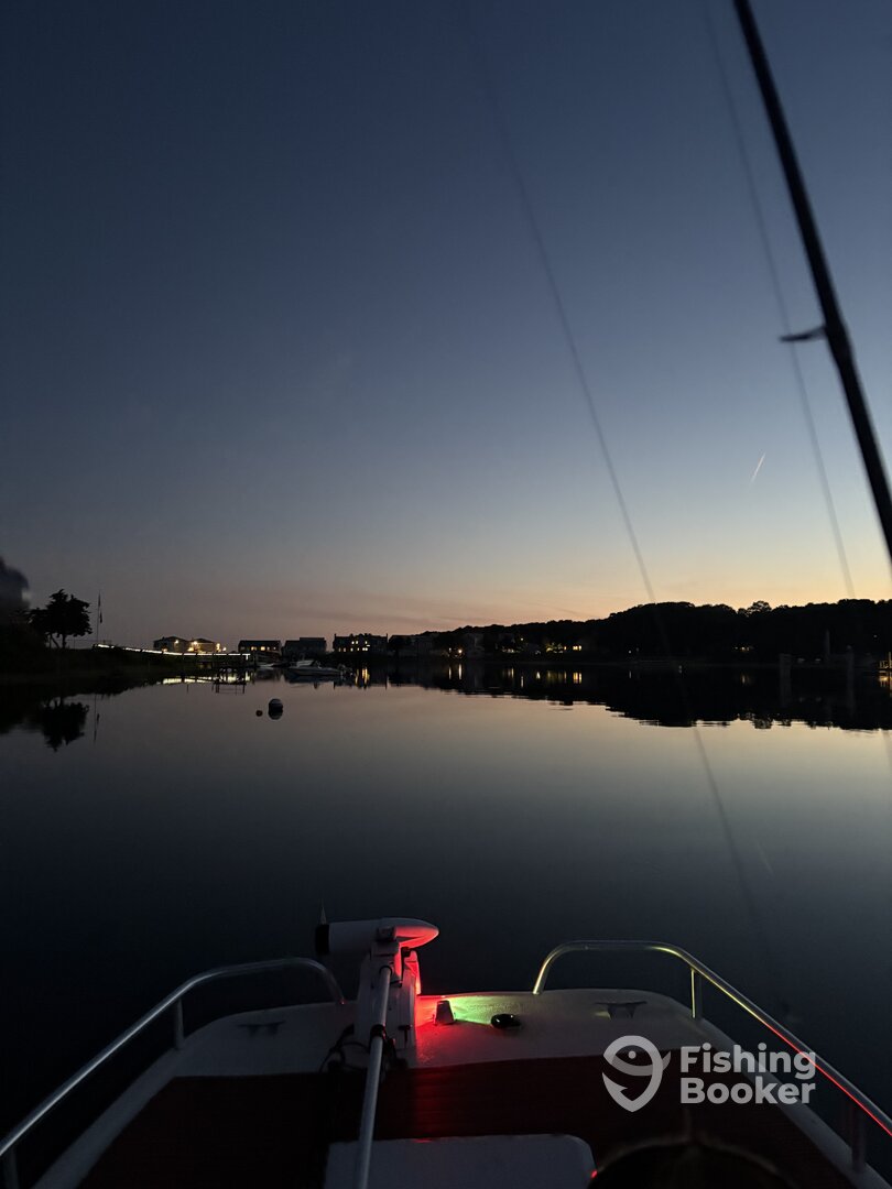 Nantucket Sound Report Photo 0