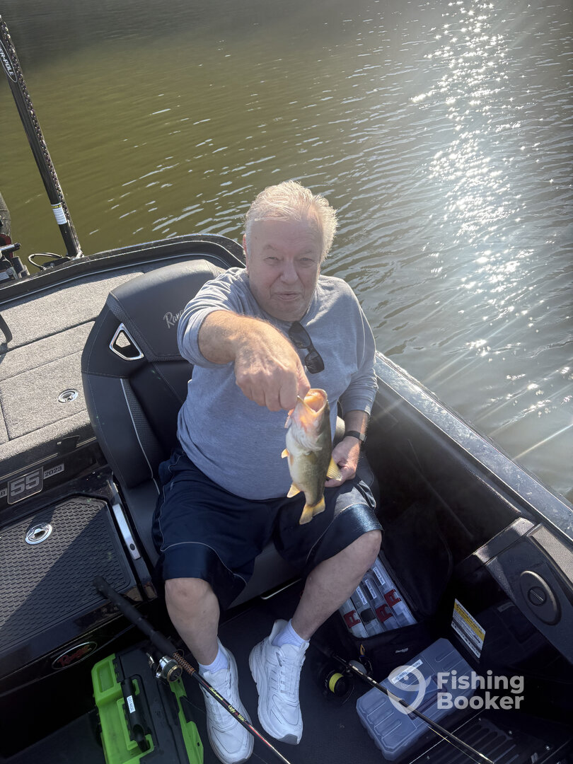 Glasgow Report Photo 0