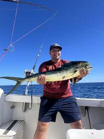 Haleiwa Report Photo 2