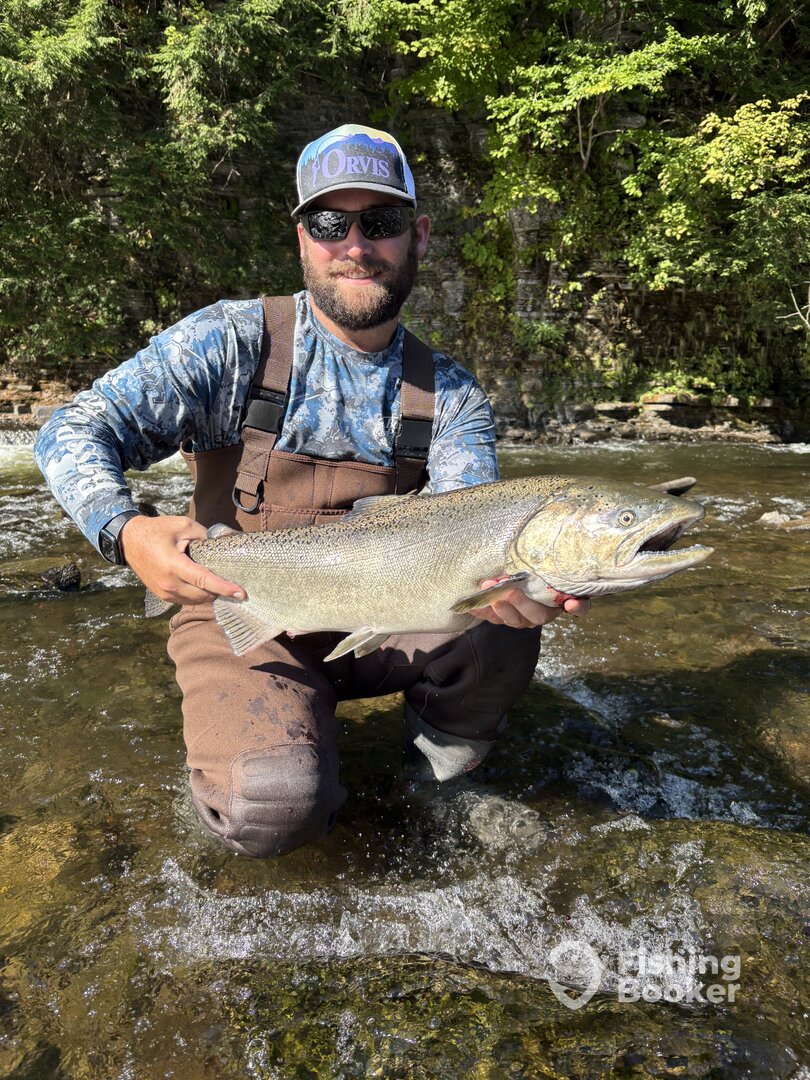 Pulaski Report Photo 0