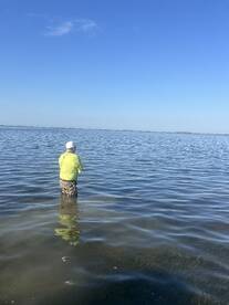 Arroyo City Report Photo 1