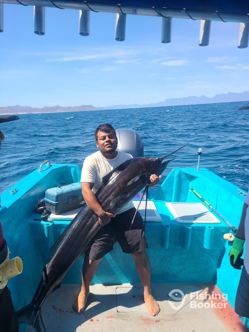 Loreto Report Photo 0