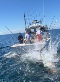 James DiPane dream charter