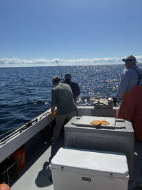 Provincetown Report Photo 2