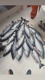 Berkeley Report Photo 1