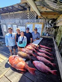 Fall Snapper season!!