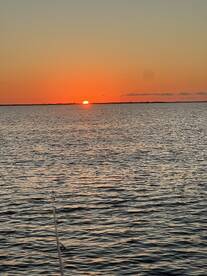 Venice Marina Report Photo 3