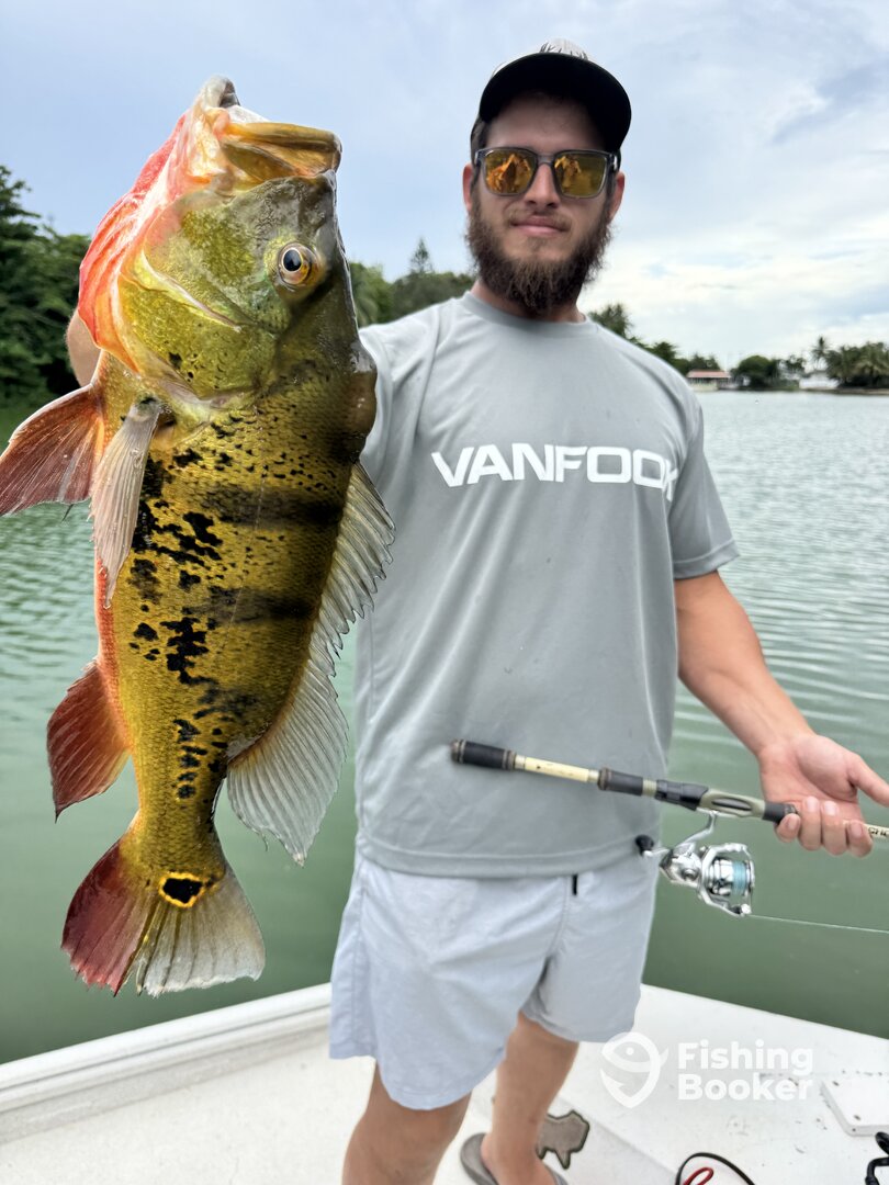 Miami Report Photo 0