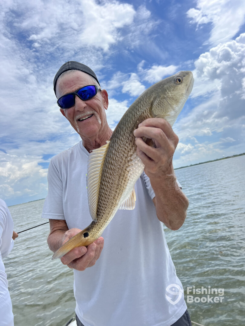 Galveston Report Photo 0