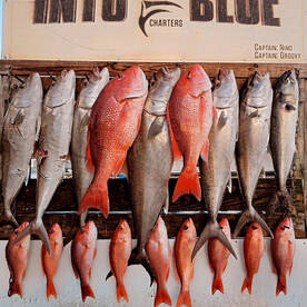 @charterboatintotheblue