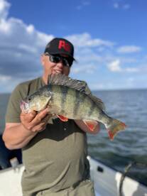 North Sea Report Photo 4