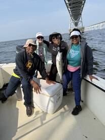 Bellevue Report Photo 2