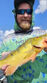 California unfire.  Couldn't But it. Out