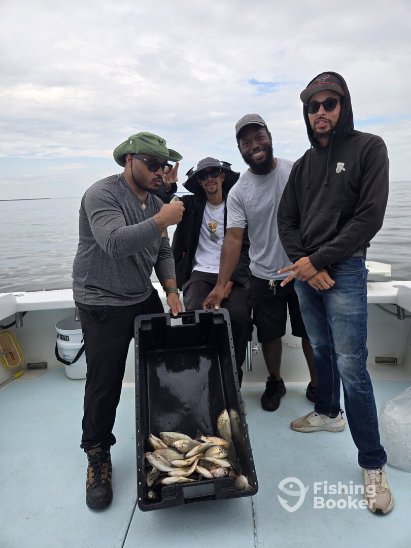 Deale Report Photo 0