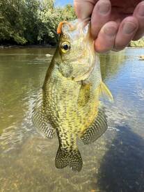 Couple hours and lots of fish