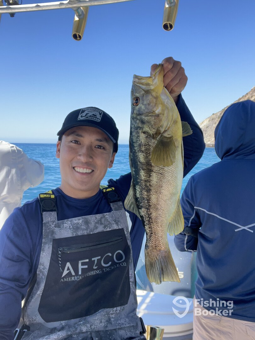 Long Beach Report Photo 0