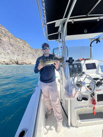 Alamitos Bay Report Photo 1