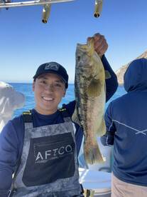 Alamitos Bay Report Photo 2