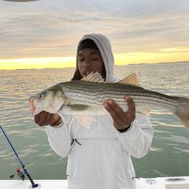 Rockfish after the rain.