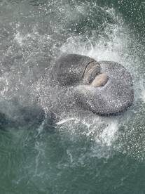 Port Canaveral Report Photo 2