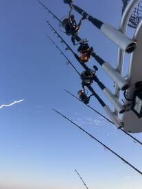 The fall mullet run has been in swing fo