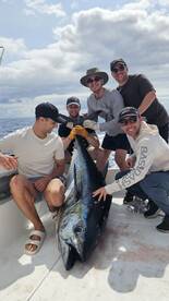 Tunas are on fire last days