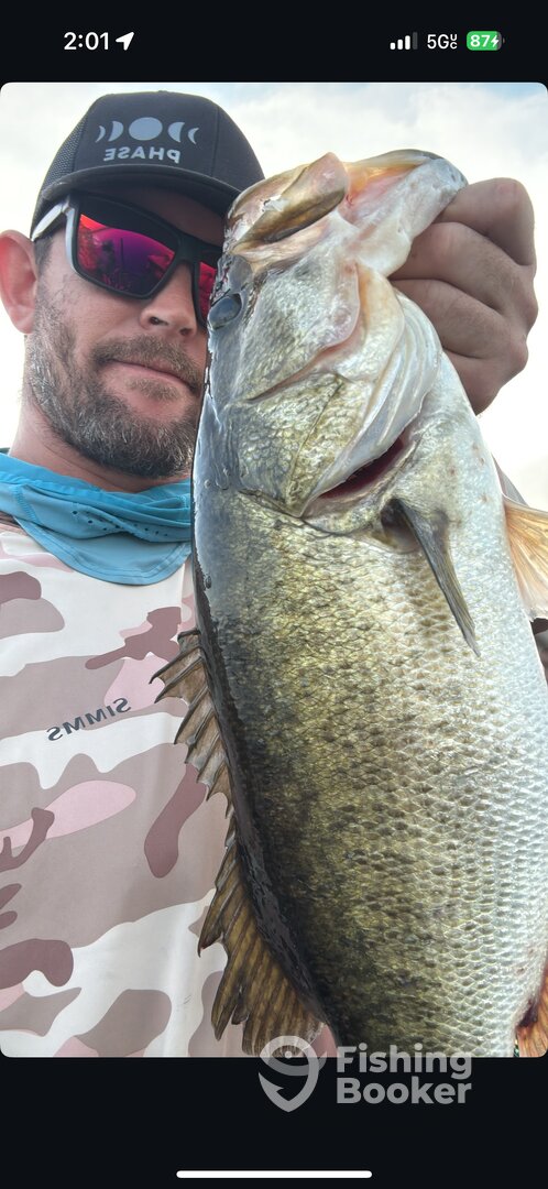 Orlando Report Photo 0