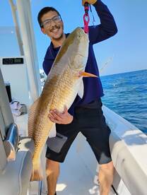 New Smyrna Beach Report Photo 2