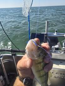 Monroe Report Photo 4