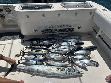 Tuna, bonita and wahoo on live bait!