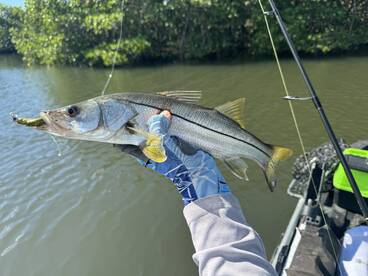 Grant-Valkaria Report Photo 2