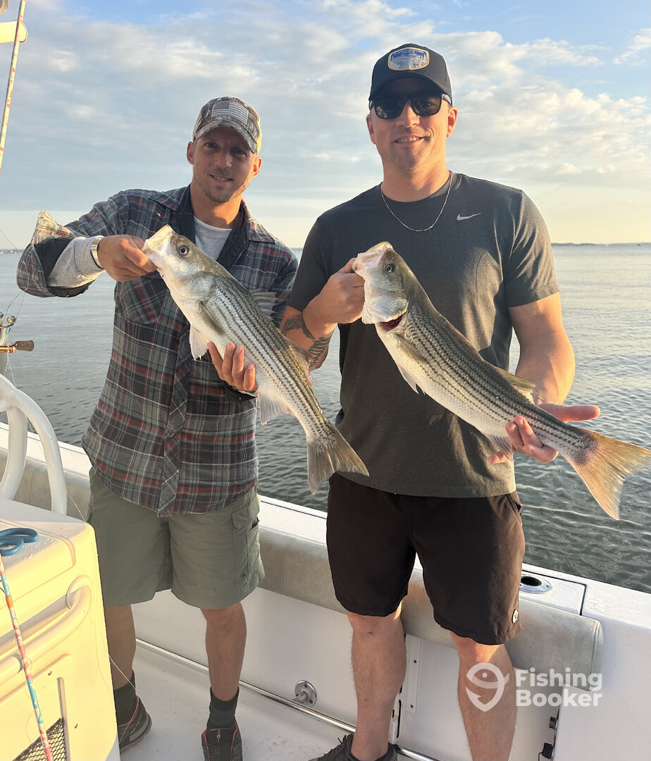 Baltimore Report Photo 0