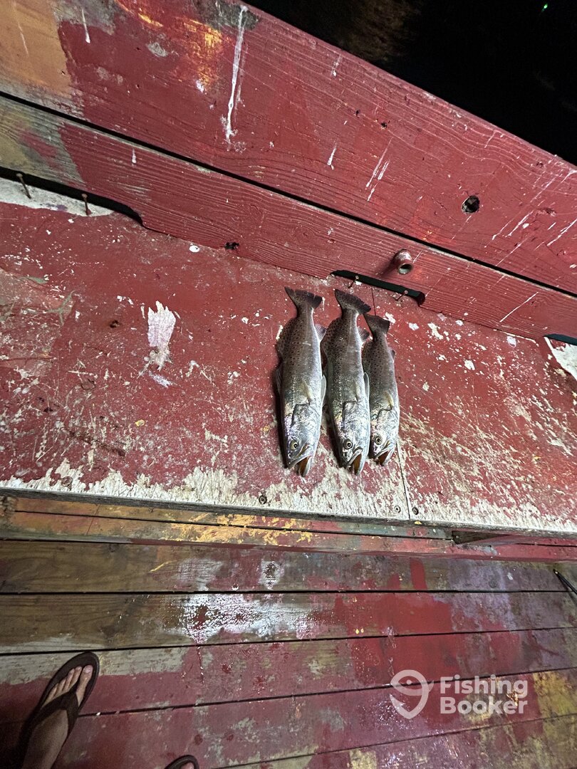 Port Aransas Report Photo 0