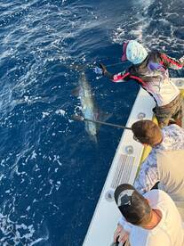 Cabo San Lucas Report Photo 1