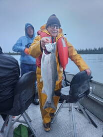 Silver “Coho” Salmon ARE still running 